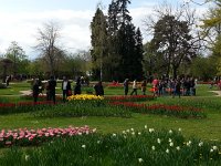 20150419 164323  that so many people enjoy