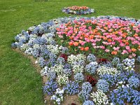 20150419 164726  Complex