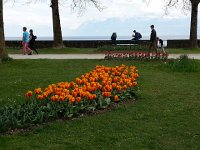 20150419 165127  Leading the eye