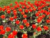 IMG 1227  and what he framed.