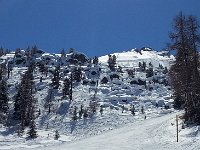 20150406 134709  Treeline on the Piste de Chamois