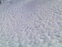 DSC00004  Carol&#39;s favorite - moguls