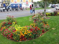 20150801 150544  A cool August 1 doesn&#39;t diminish the flowers in Vevey
