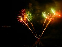 DSCN4343  Flowers on stalks