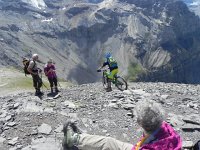 DSCN4431  They are a bit crazy