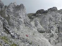 DSCN4442  Hard to imagine that a trail goes through this!