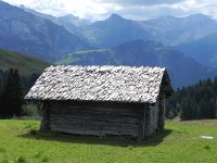 DSCN4464  Now that&#39;s tavillons!