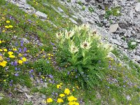 20150806 140844  We hiked down...