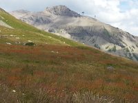 20150806 145708  Going down, one sees the lift that one took up