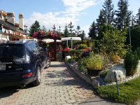 20150806 172540  Everyone needs a black resin cow!