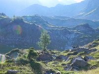 DSCN4381  Christine, knowing dogs, takes him on the leash