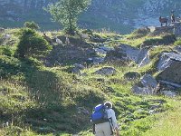 DSCN4382  We go up through a herd of goats