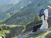 DSCN4384  You would think that the goats would be fearful of the dog