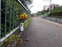 20150810 080959  10 August - memorial for man killing by train while chasing dog