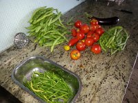20150823 124358  23 August - garden harvest