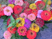 DSCN4479  We decided to try a weekend trip to eastern Switzerland