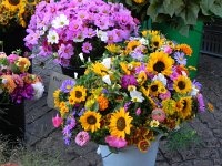 DSCN4480  which meant that we spent a Friday night at Bri&#39;s apartment