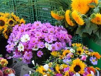 DSCN4481  before leaving Saturday morning from Oerlikon