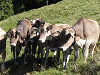 DSCN4518  Whaddaya think???