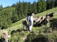 DSCN4520  Finally they overcome their skittishness