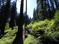 DSCN4529  and onward