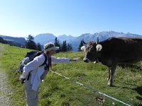 DSCN4600  well,maybe you&#39;re okay