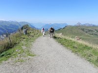 DSCN4614  But amidst the people there are still cows