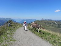 DSCN4616  running away