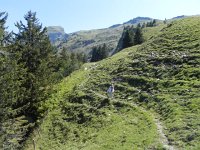 DSCN4617  We hiked down from the summit beneath a zip line that cost $75 a ride!