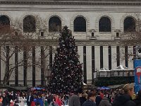 20151231 134246  Christmas tree