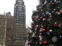 20151231 134421  Tower and Tree