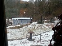 20160101 073701  Squirrel regaling in squirrel-proof bird feeder