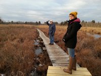 20160101 155724  A boardwalk through the marsh