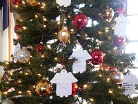 20160102 101936  Christmas tree in the sanctuary