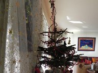 DSCN5687  Christmas tree not listing