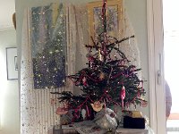 DSCN5689  Presents and tree