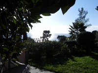 DSCN5708  We looked out on the Med