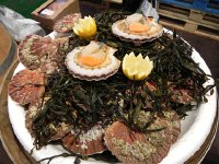 DSCN5786  Coquilles St-Jacques