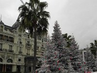 DSCN5805  Palms and pines