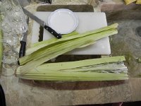 DSCN5843  and the cardon! Lots of prep involved