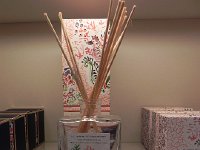 DSCN5854  and beyond verbal descripton