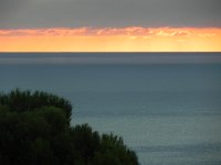 DSCN5901  Tight view