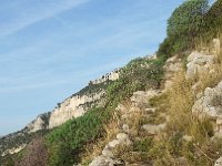 20151226 092347  The hillside was riven with trails