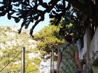 20151226 152244  Nikki on the path