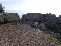 DSCN5982  Yeah, probably here