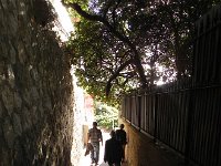 DSCN6026  A moment of shade