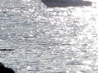 DSCN6044  Bri and Nico