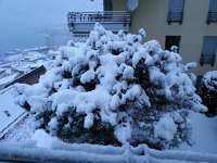 20150202 075457  burdens the pines,