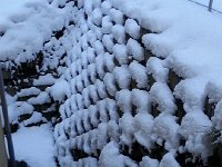 20150202 080129  exaggerates the patterns.