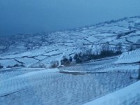 20150206 173315  6 Feb: Lavaux from the train